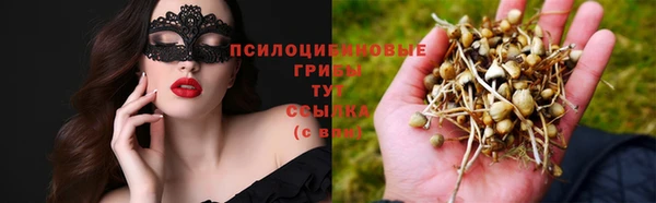 винт Нея