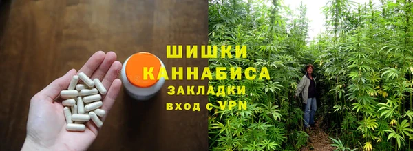 винт Нея