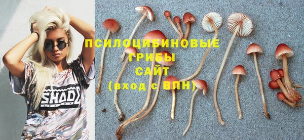 меф Дмитров